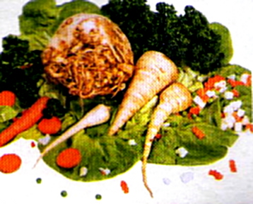 celerpet.jpg (92158 bytes)