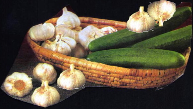 cesnokur4.jpg (69309 bytes)