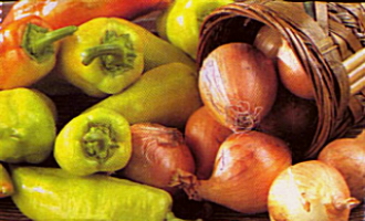 cibupap.jpg (63954 bytes)