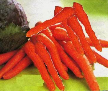 mrkev2.jpg (113426 bytes)