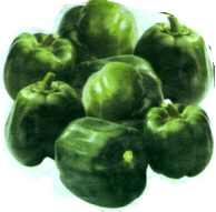 papriky1.jpg (27954 bytes)